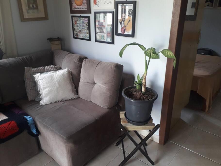 Casa Proximo A Praias, Trilhas E Cachoeiras. Garopaba Extérieur photo